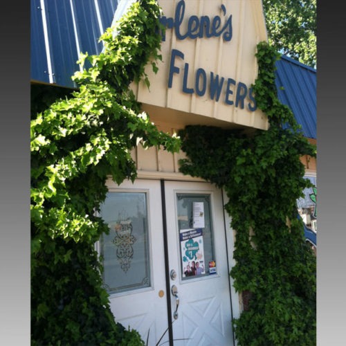 arlenes_flowers sign