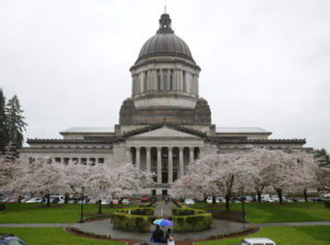 Pedestrians walk in the rain near the Legislative Building, Tuesday, March 28, 2017, at the Capitol in Olympia, Wash., as cherry trees display their spring blossoms. CREDIT: TED S. WARREN/AP