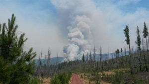 A view of the Bridge 99 Complex fire along Green Ridge near the Lookout and east of Camp Sherman and the Metolius River. CREDIT STEVE ZIEL / INCIWEB