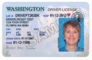 a sample Washington driver's license