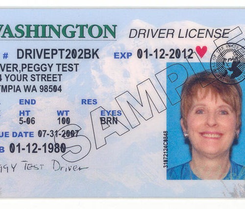a sample Washington driver's license