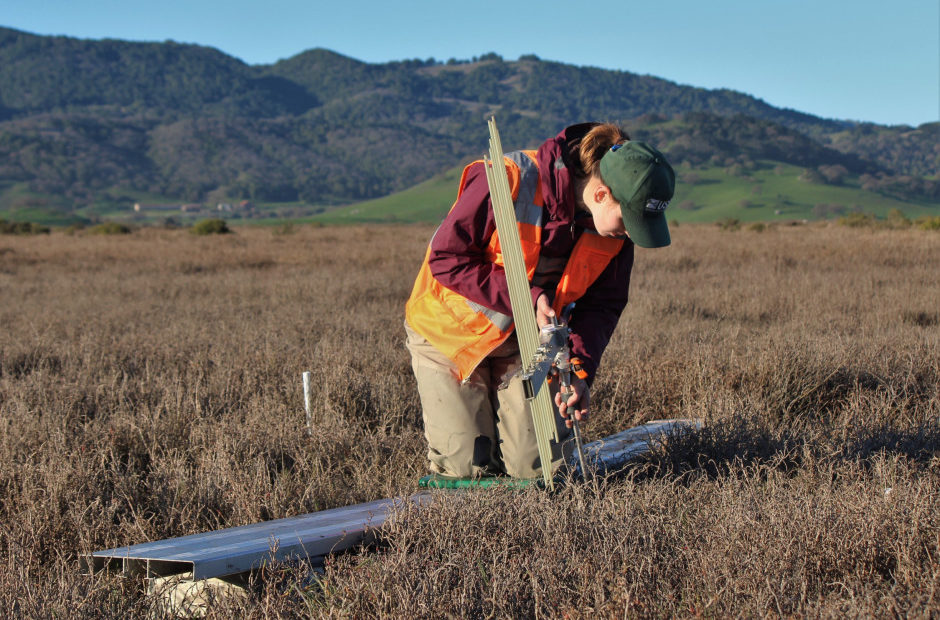 Tess Forstner (USGS) up the measuring tool as part of a study to determine the effect of sea level rise on coastal wetlands in the West. CREDIT: U.S. GEOLOGICAL SURVEY