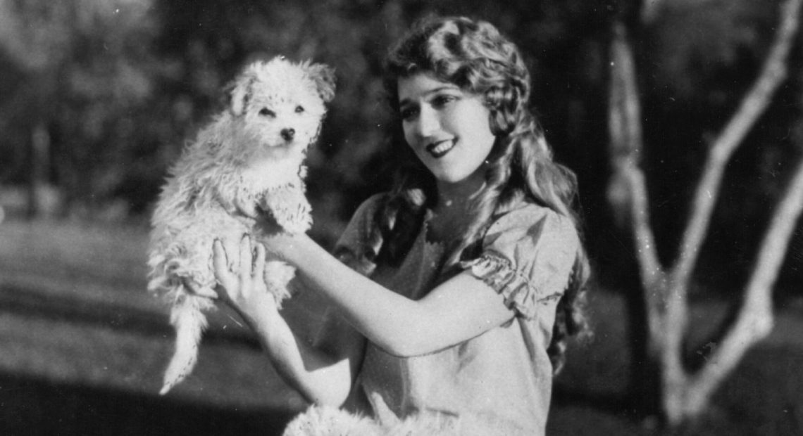 In the 1910s and '20s, actress Mary Pickford was known as "Blondielocks" for her golden, sausage-like curls. CREDIT: GETTY IMAGES