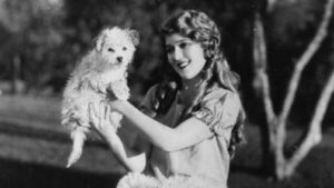 In the 1910s and '20s, actress Mary Pickford was known as "Blondielocks" for her golden, sausage-like curls. CREDIT: GETTY IMAGES