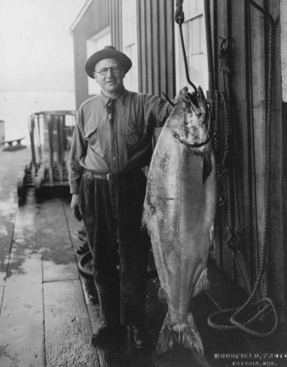 Fisherman Tony Canessa with an 85-pound chinook he caught near Astoria, Oregon, in 1925. CREDIT: U.S. FISH AND WILDLIFE SERVICE