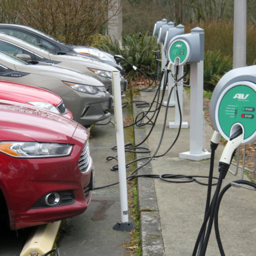 Plug-in cars charge up at the Washington State Capitol Campus. A disproportionately high number of the state's legislators drive electric vehicles compared to the general population. CREDIT: TOM BANSE