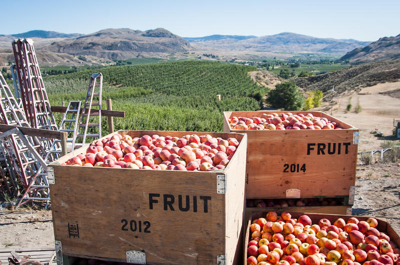 File photo/Washington Apple Commission