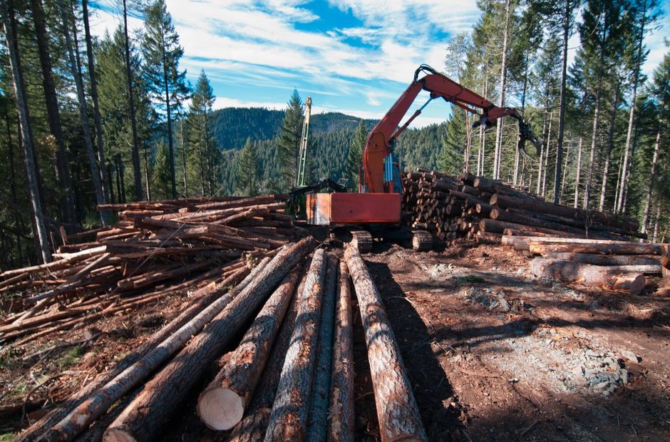 A contractor sorts logs on Oregon Board of Forestry land in southern Oregon. CREDIT: OREGON DEPARTMENT OF FORESTRY