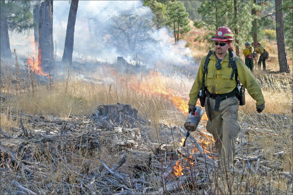 File photo of a firefighter using a driptorch to apply fire during a prescribed burn. CREDIT: SWANSON SCOTT