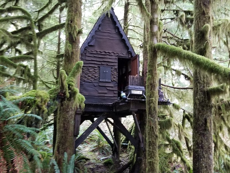 The cabin sits about 8 feet off the ground and was made with high-quality construction materials, solid wood planks and heavy-gauge bolts. Courtesy of King County Superior Court.
