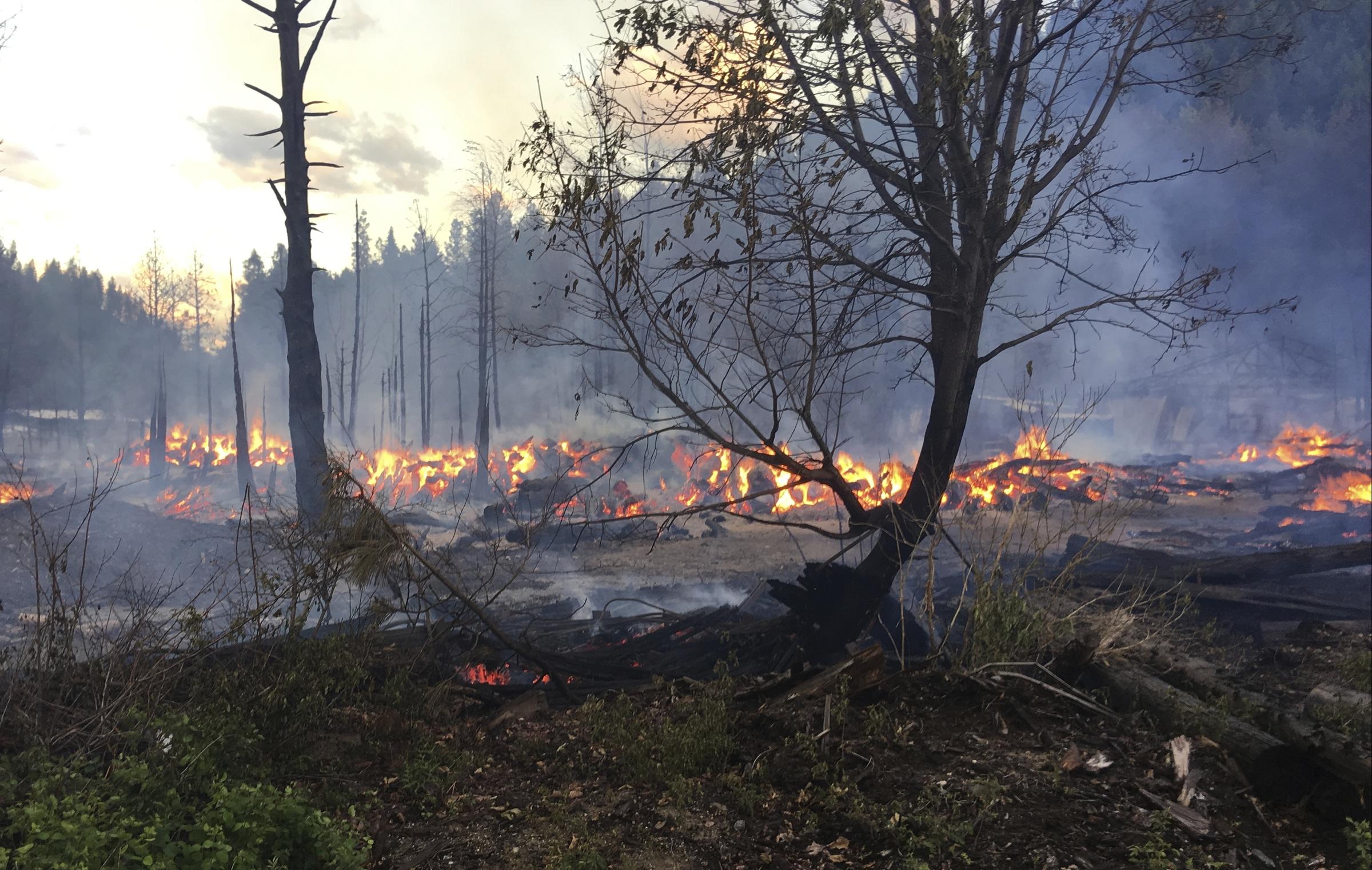 In this May 23, 2017 photo provided by Chelan County Fire District 3, logs burn near Leavenworth, Wash. The wildfire prompted evacuation orders for homes and cabins at a popular Washington state hiking and skiing destination. CREDIT: BEN TORKELSON