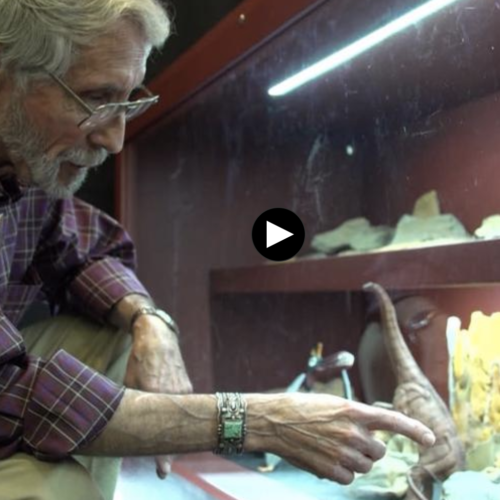 Watch the PBS Newshour story about a man who made a large fossil discovery