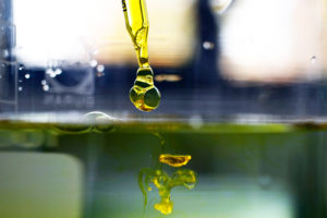 A sample of cannabidiol (CBD) oil is dropped into water. Supplements containing the marijuana extract are popular and widely sold as remedies for a variety of ailments and aches. But scientific evidence that they work hasn't yet caught up for most applications, researchers say. CREDIT: STEFAN WERMUTH