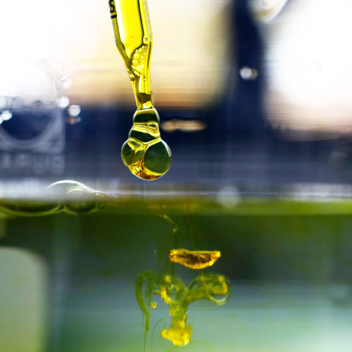 A sample of cannabidiol (CBD) oil is dropped into water. Supplements containing the marijuana extract are popular and widely sold as remedies for a variety of ailments and aches. But scientific evidence that they work hasn't yet caught up for most applications, researchers say. CREDIT: STEFAN WERMUTH