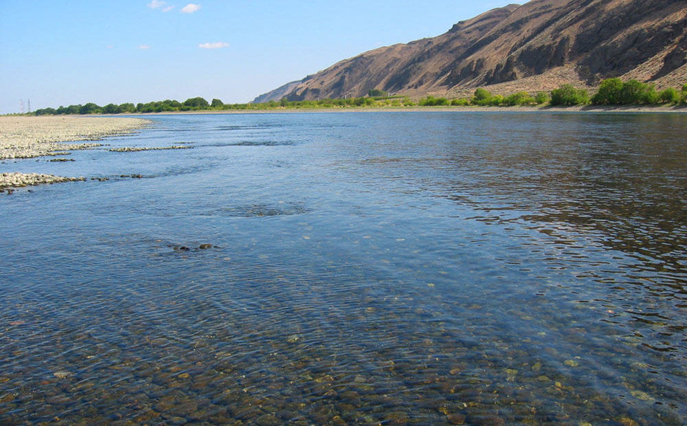 File photo of Hanford Reach/PFLY