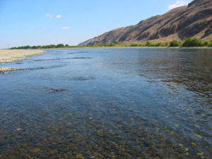 File photo of Hanford Reach/PFLY