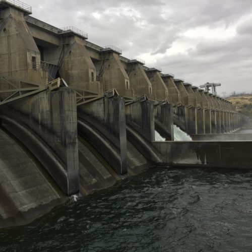 Fish advocates say sending water through spill bays is the best way to ensure fish survival through dams in the Columbia and Snake rivers. CREDIT: CASSANDRA PROFITA