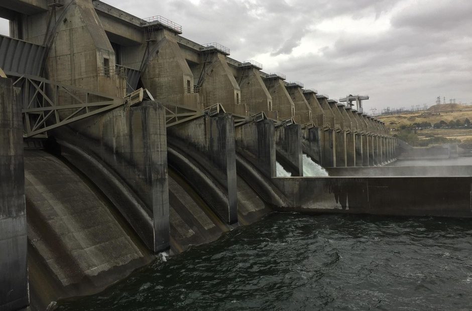 Fish advocates say sending water through spill bays is the best way to ensure fish survival through dams in the Columbia and Snake rivers. CREDIT: CASSANDRA PROFITA