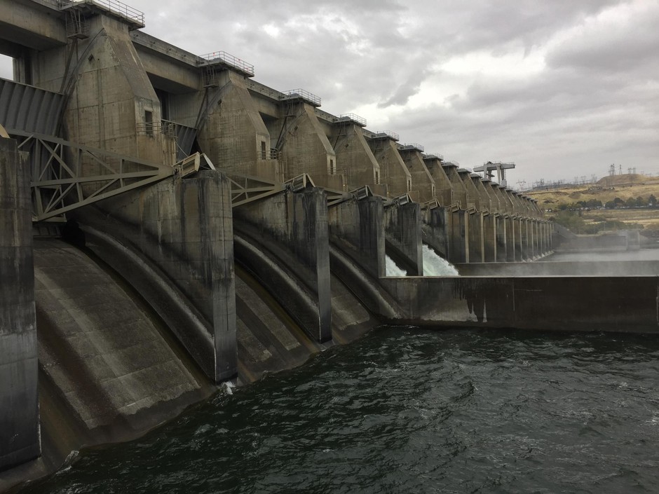 Fish advocates say sending water through spill bays is the best way to ensure fish survival through dams in the Columbia and Snake rivers. CREDIT: CASSANDRA PROFITA