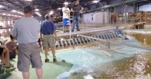 Managers with Northwest fish and wildlife agencies and tribes test spill patterns on a miniature version of The Dalles Dam in Vicksburg, Mississippi. Courtesy of Erick Van Dyke, Oregon Department of Fish and Wildlife