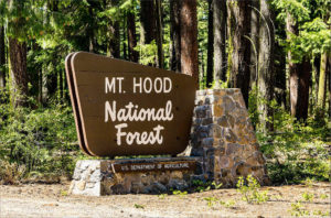 Mount Hood National Forest sign
