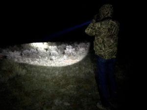 Zach Slick shines a spotlight to look for the glimmer of sage grouse eyes. He's helping out with research that is looking into how ravens are affecting imperiled sage grouse. CREDIT: COURTNEY FLATT