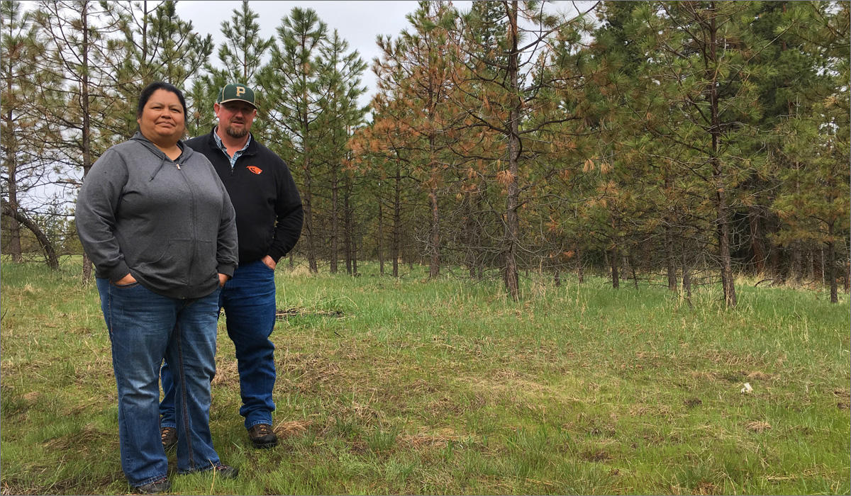 Gordy Schumacher and Cheryl Shippentower helped draft plans to manage the tribes' forests in different ways -- using more thinning and prescribed fires. They hope these methods will decrease the chances for a megafire in tribal forests. CREDIT: ANNA KING