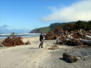 Dale Beasley shows trees killed by saltwater intrusion and erosion that previously fronted the Cape Disappointment State Park campground. CREDIT: TOM BANSE / NORTHWEST NEWS NETWORK