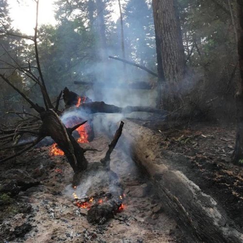 A hot spot in the Eagle Creek Fire was spotted at 2 a.m. Tuesday near the Herman Creek Trailhead. CREDIT: U.S. FOREST SERVICE