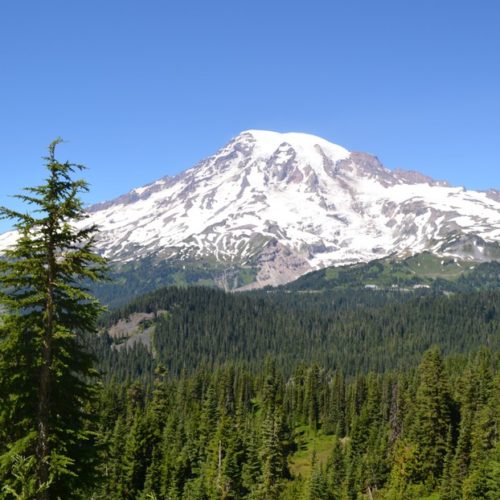 Mount Rainier National Park could soon have cellphone access at Paradise and on nearby hikes. CREDIT: EILIS O'NEILL