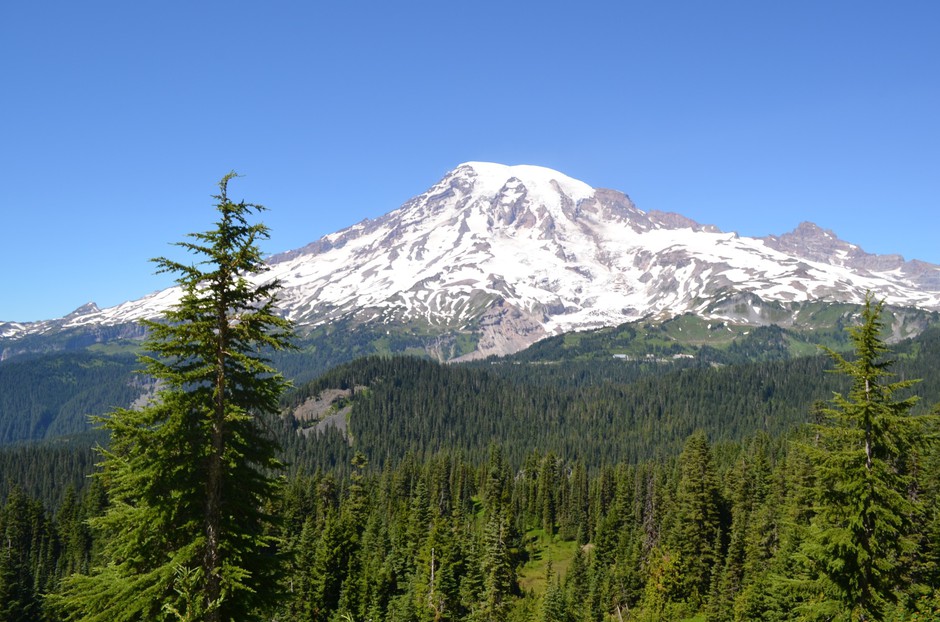 Mount Rainier National Park could soon have cellphone access at Paradise and on nearby hikes. CREDIT: EILIS O'NEILL