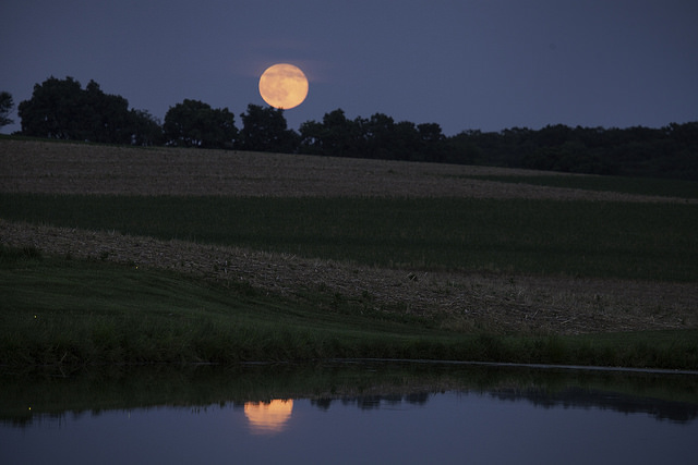 A strawberry moon seen in 2016