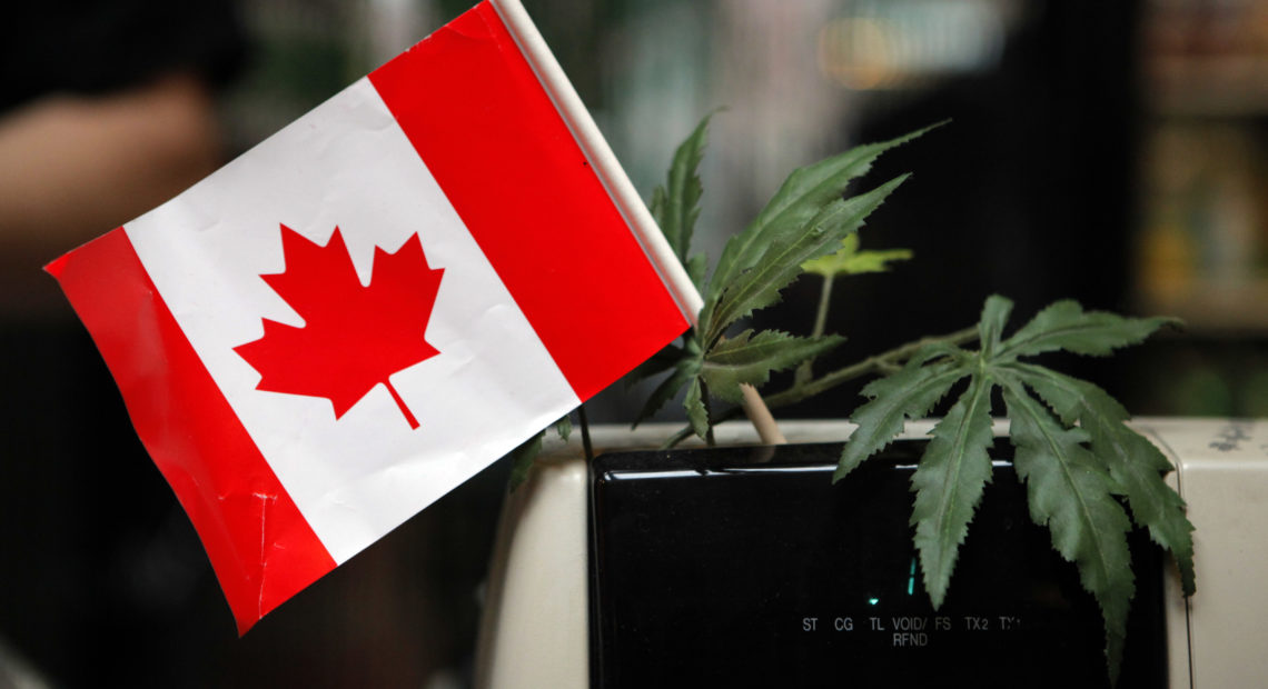 A cash register is adorned with a Canadian flag and imitation marijuana leaves at the BC Marijuana Party Headquarters in Vancouver, British Vancouver (AP Photo/Jae C. Hong)
