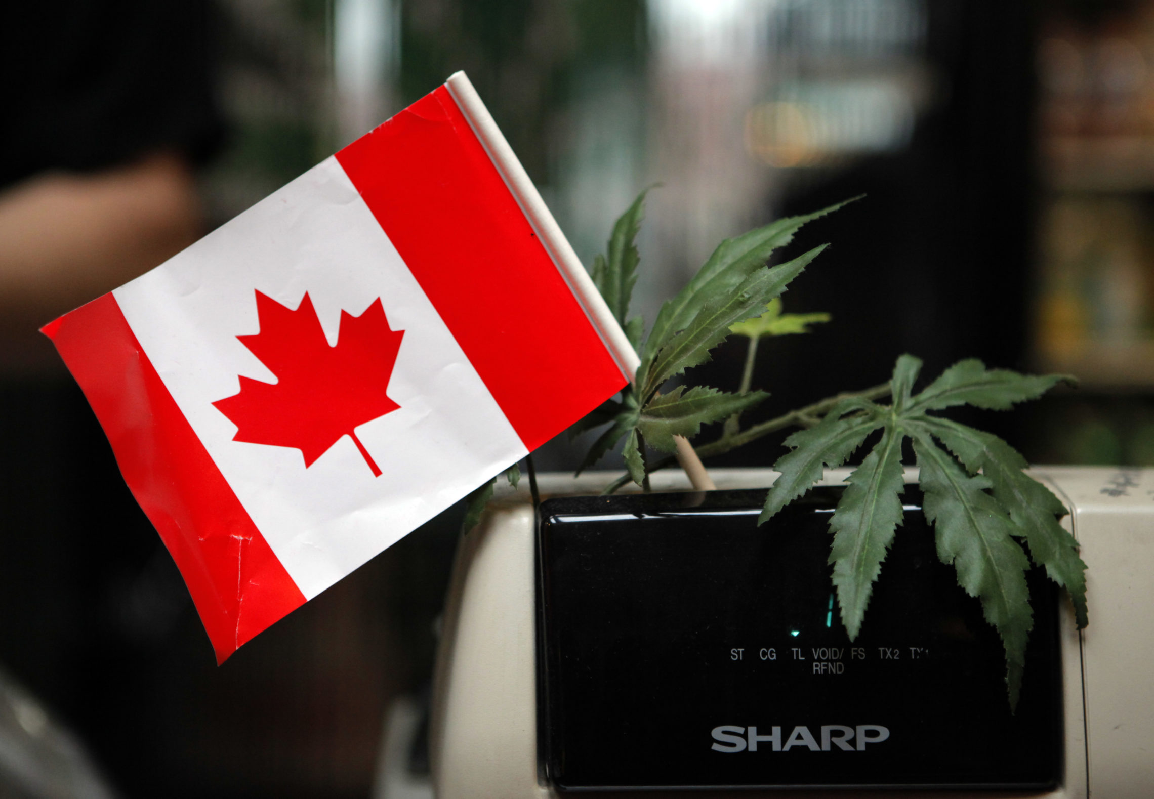 A cash register is adorned with a Canadian flag and imitation marijuana leaves at the BC Marijuana Party Headquarters in Vancouver, British Vancouver (AP Photo/Jae C. Hong)