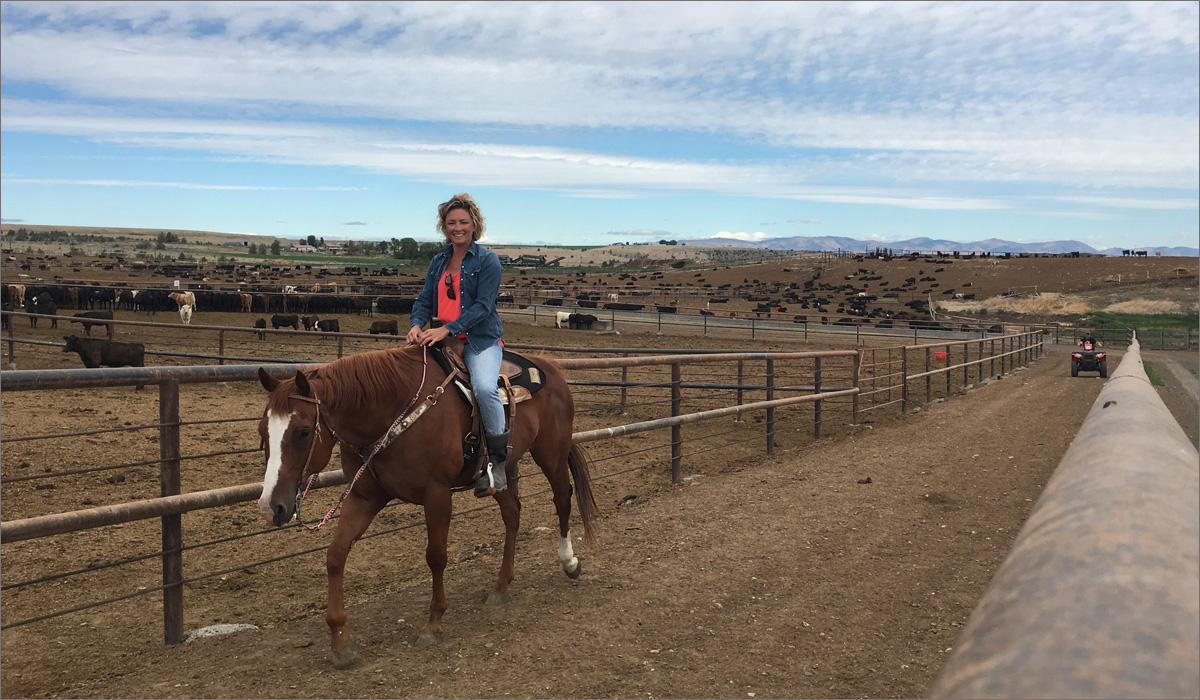 JoHanna Symons rides her sorrel quarter horse gelding, Bobby, through pens of cattle on her family's 4,500-head feedlot operation. She is looking for any sickly or injured animals to doctor, like she does every morning. CREDIT: ANNA KING