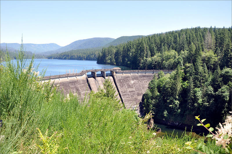 Nearly 100 water systems in Oregon will begin collecting samples for harmful contaminants from algae blooms. Shown is Bull Run Reservoir 1, part of Portland's water system. CREDIT: FINETOOTH