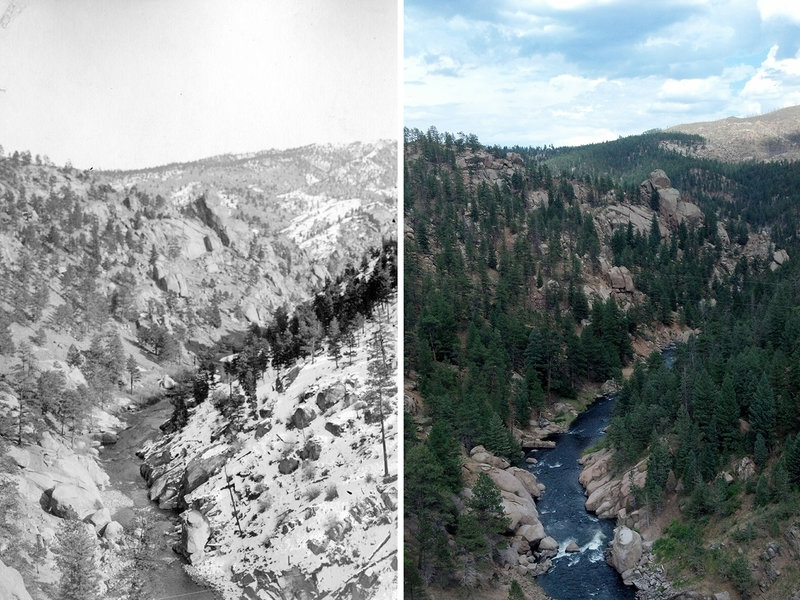 The view along the South Platte River in the Pike National Forest, in 1903 and 2012. When wildfires burn in dense forests today they are often hotter and can destroy more trees. CREDIT: DENVER WATER DEPARTMENT ARCHIVES AND PAULA FORNWALT