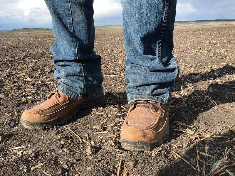 Rancher Wayne Evans stands in one of his parched alfalfa fields near Riley, Oregon. A drought across the West is already putting a strain on ranchers and farmers. CREDIT: ANNA KING / NORTHWEST NEWS NETWORK