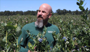 Orchard manager Justin Meduri is thrilled with the results of the laser system protecting his crop. CREDIT: TOM BANSE
