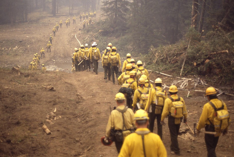 A line of wildland firefighters marches through the woods during the Yellowstone fires of 1988. The massive complex of fires, which burned more than 790,000 acres, was a transformative moment in the country's view of wildfire. CREDIT: NATIONAL PARK SERVICE