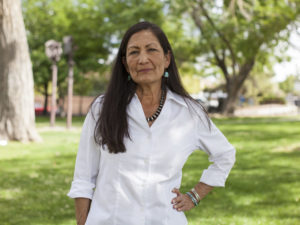 Deb Haaland worked on President Obama's 2008 campaign before chairing New Mexico's Democratic Party. Now she's running for office with a record number of other Native Americans across the country.