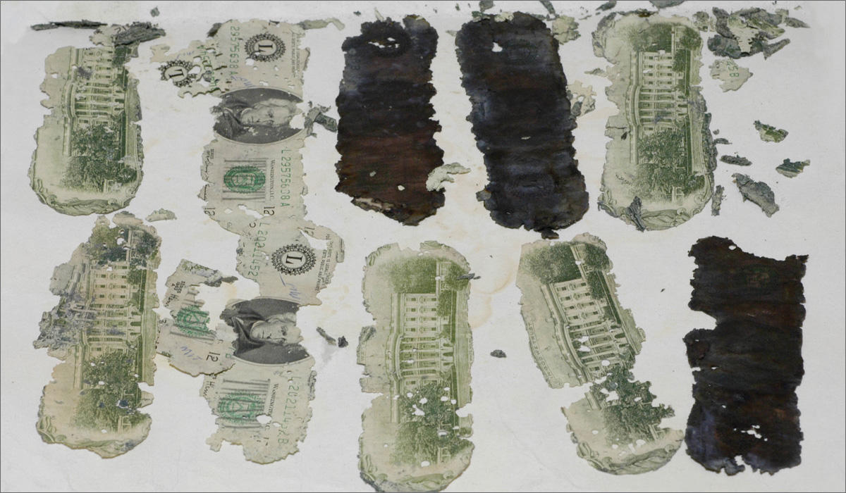 In 1980, a boy uncovered three bundles of decomposing $20 bills, whose serial numbers traced back to the D.B. Cooper ransom money. CREDIT FBI ARCHIVES