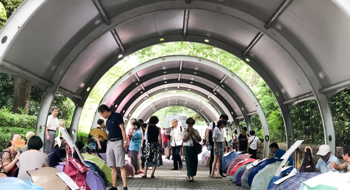 At Shanghai's weekly "marriage market," parents advertise their unmarried adult children with signs taped to umbrellas. Chinese parents and the government are doing what they can to reverse the trend of falling marriage rates. The sign above the entrance reads: "Comprehensively manage the marriage market, maintain the order of the park together." NPR