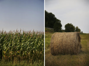 North Dakota farmland in and around Minto. Elissa Nadworny/NPR
