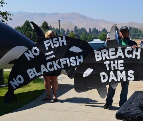 Protesters call for the removal of dams on the Snake River to help salmon spawn — and consequently feed Puget Sound orcas. The protest came outside a meeting of the governor’s orca task force in Wenatchee on Tuesday. CREDIT: ELLIS O'NEILL/KUOW/EARTHFIX
