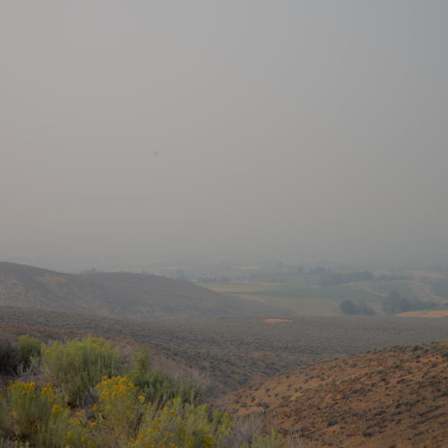 Smoky skies in Central Washington this week have made it hard to see distant mountains, and harder for some farmworkers to breathe clean air. CREDIT: ESMY JIMENEZ/NWPB