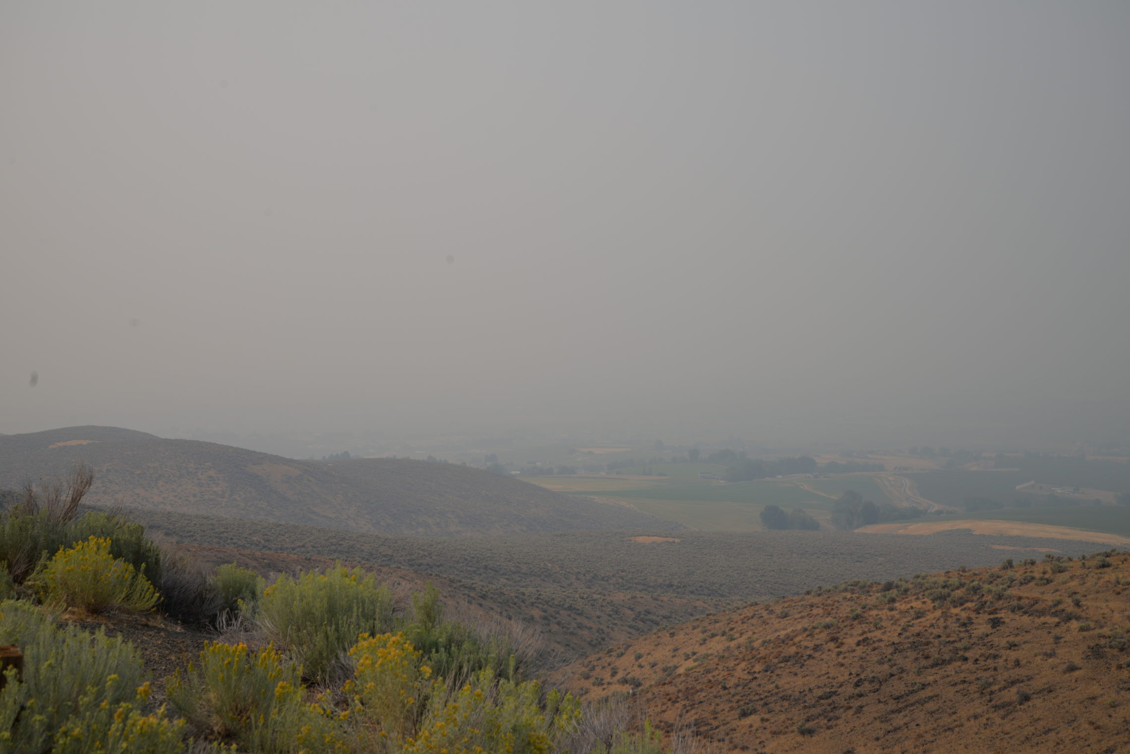 Smoky skies in Central Washington this week have made it hard to see distant mountains, and harder for some farmworkers to breathe clean air. CREDIT: ESMY JIMENEZ/NWPB