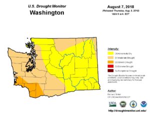 Washington map of U.S. Drought Monitor conditions for August 7, 2018.