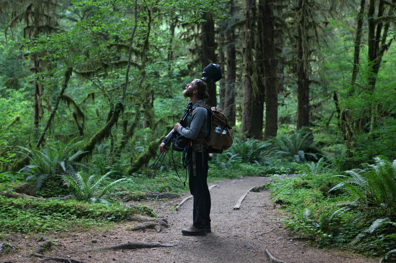 Matt Mikkelsen carries "Fritz," his microphone system, to the path in the Hoh Rain Forest that leads to One Square Inch of Silence in Washington's Olympic National Park. CREDIT: SAMIR S. PATEL