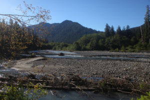 Near Hoh River Trail in Washington state's Olympic National Park. CREDIT: SAMIR S. PATEL